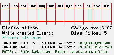 Estadisticas