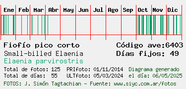 Estadisticas