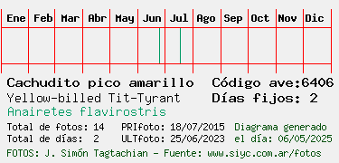 Estadisticas