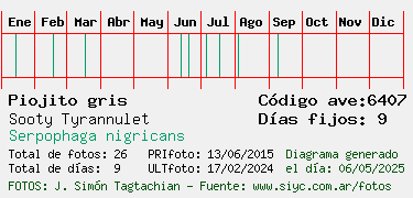 Estadisticas