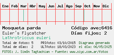Estadisticas