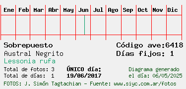 Estadisticas