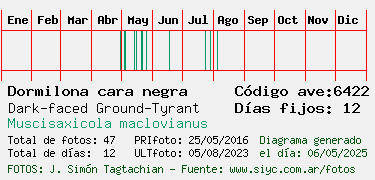Estadisticas