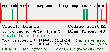 Estadisticas