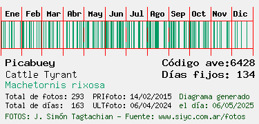 Estadisticas