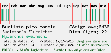 Estadisticas