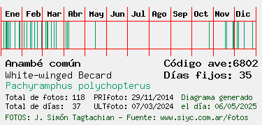Estadisticas
