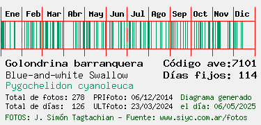 Estadisticas