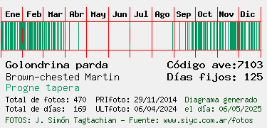 Estadisticas