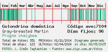 Estadisticas