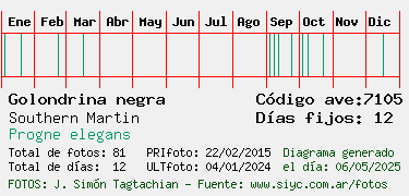 Estadisticas
