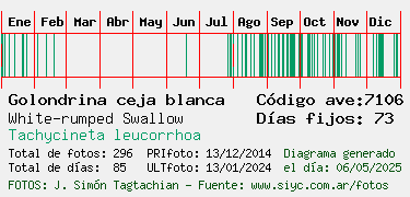 Estadisticas