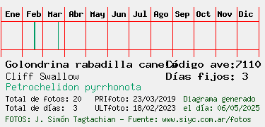 Estadisticas