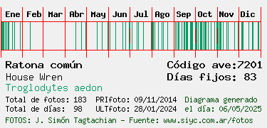 Estadisticas