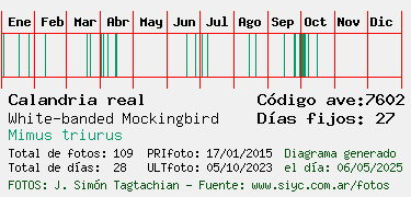 Estadisticas