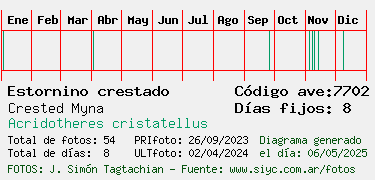Estadisticas