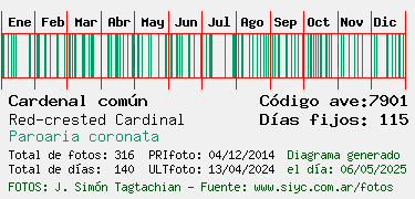 Estadisticas