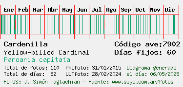 Estadisticas
