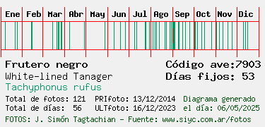 Estadisticas