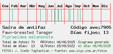 Estadisticas