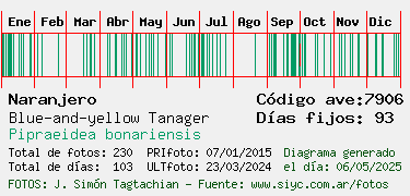 Estadisticas