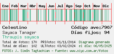 Estadisticas
