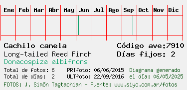 Estadisticas