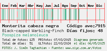 Estadisticas