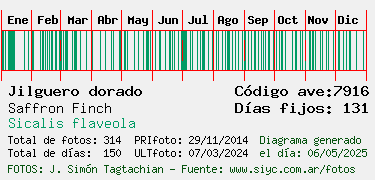 Estadisticas