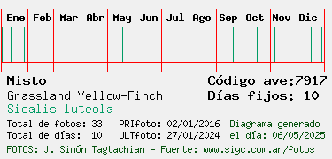 Estadisticas