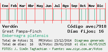 Estadisticas