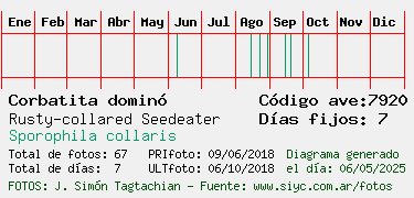 Estadisticas