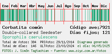 Estadisticas