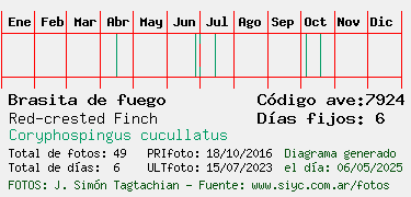 Estadisticas