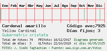 Estadisticas