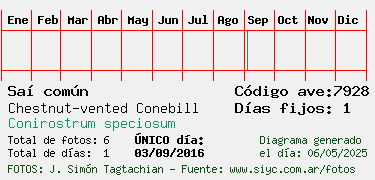 Estadisticas