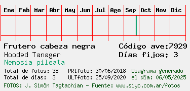 Estadisticas