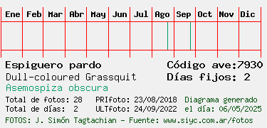 Estadisticas