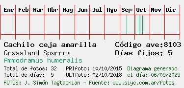 Estadisticas
