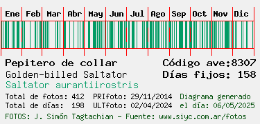 Estadisticas