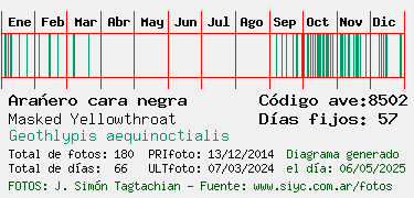 Estadisticas