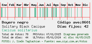 Estadisticas