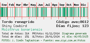 Estadisticas
