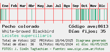 Estadisticas
