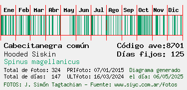 Estadisticas