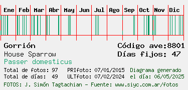 Estadisticas