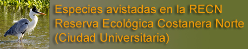 Reserva Ecolgica Costanera Norte