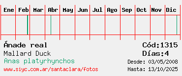 Estadisticas Estadisticas