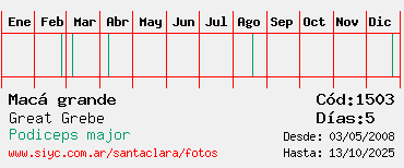 Estadisticas Estadisticas