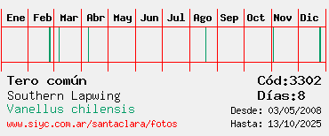 Estadisticas Estadisticas